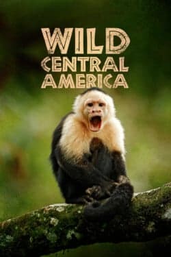 Дикая природа Центральной Америки